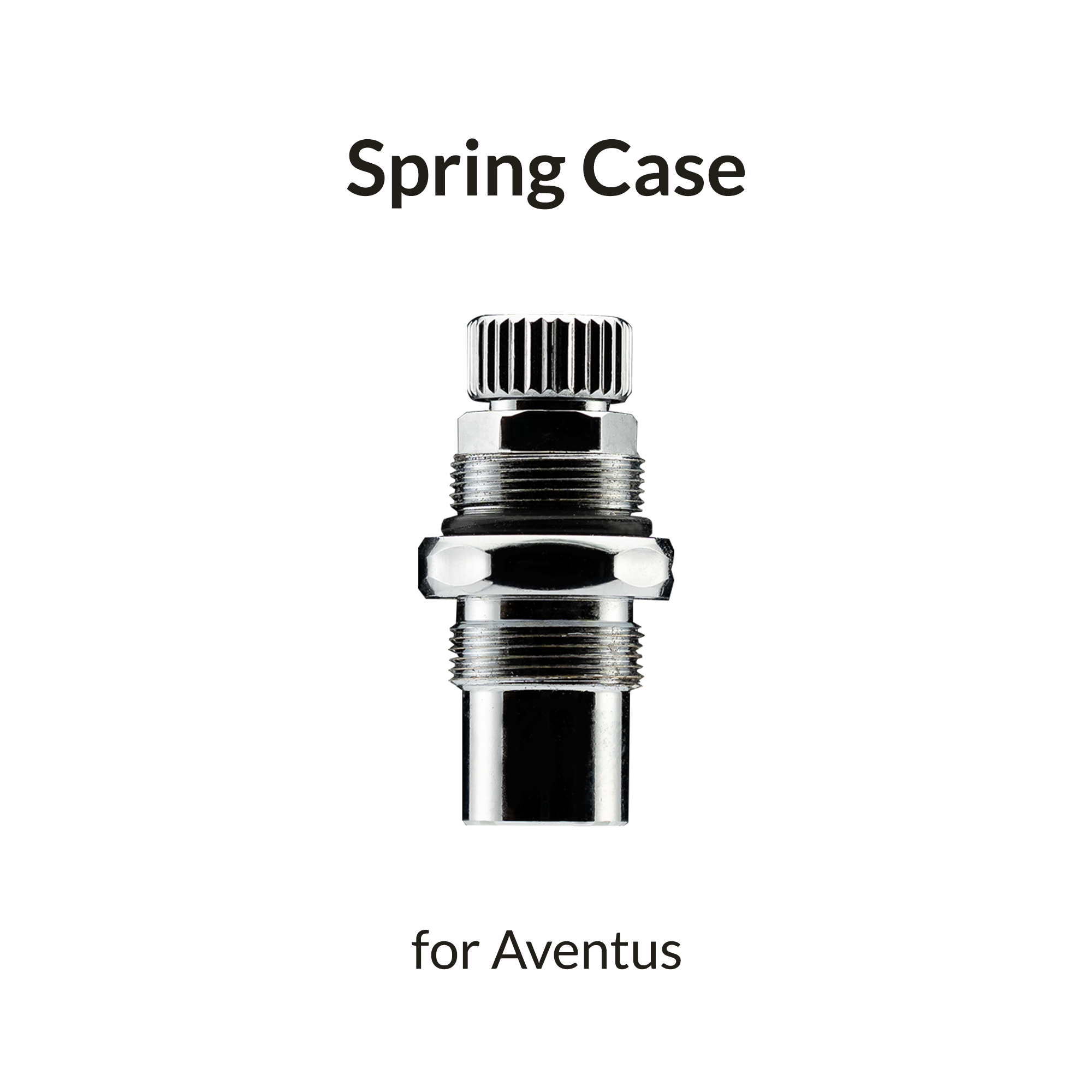 Aventus Silver Spring Case